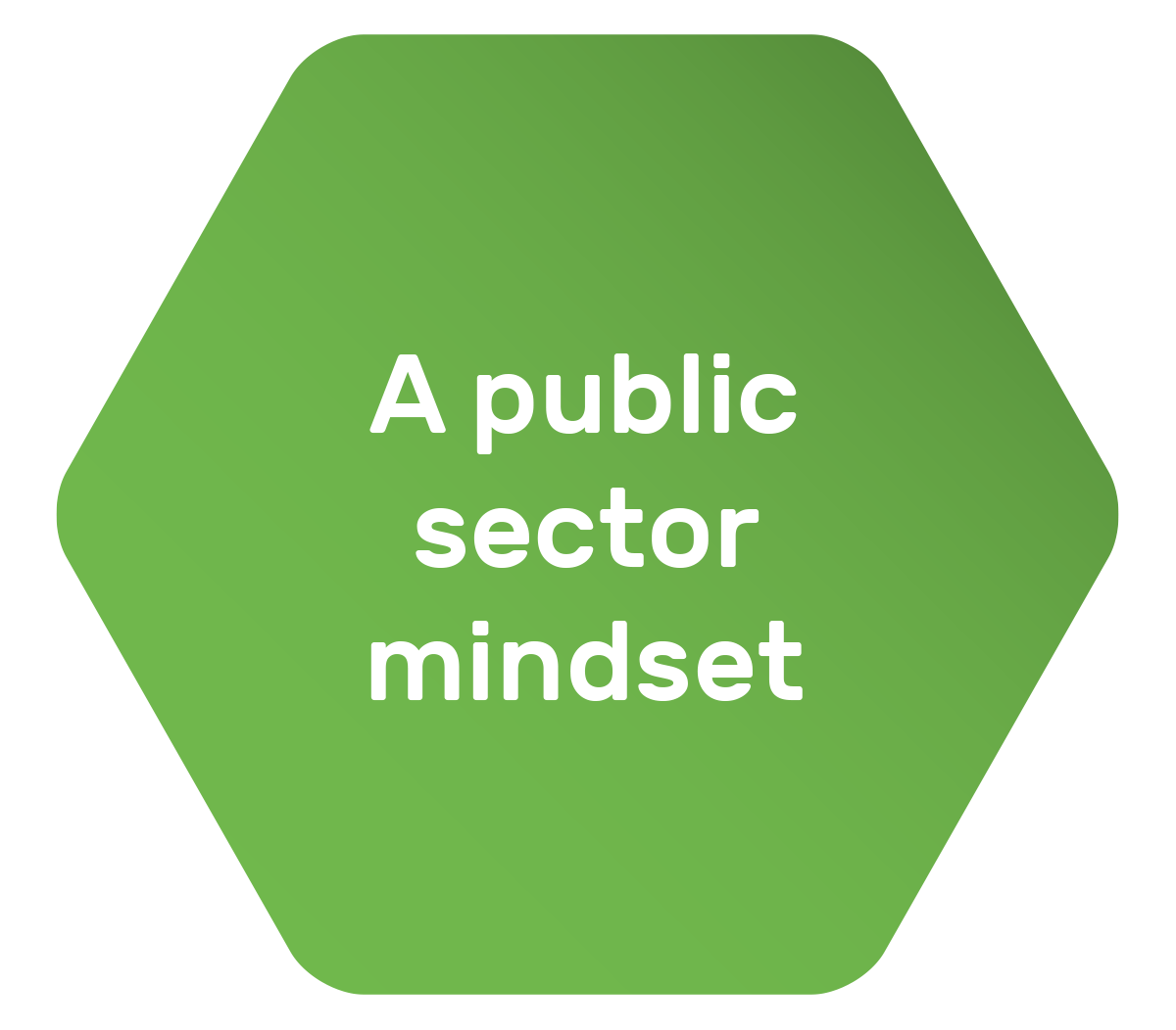 A public sector mindset