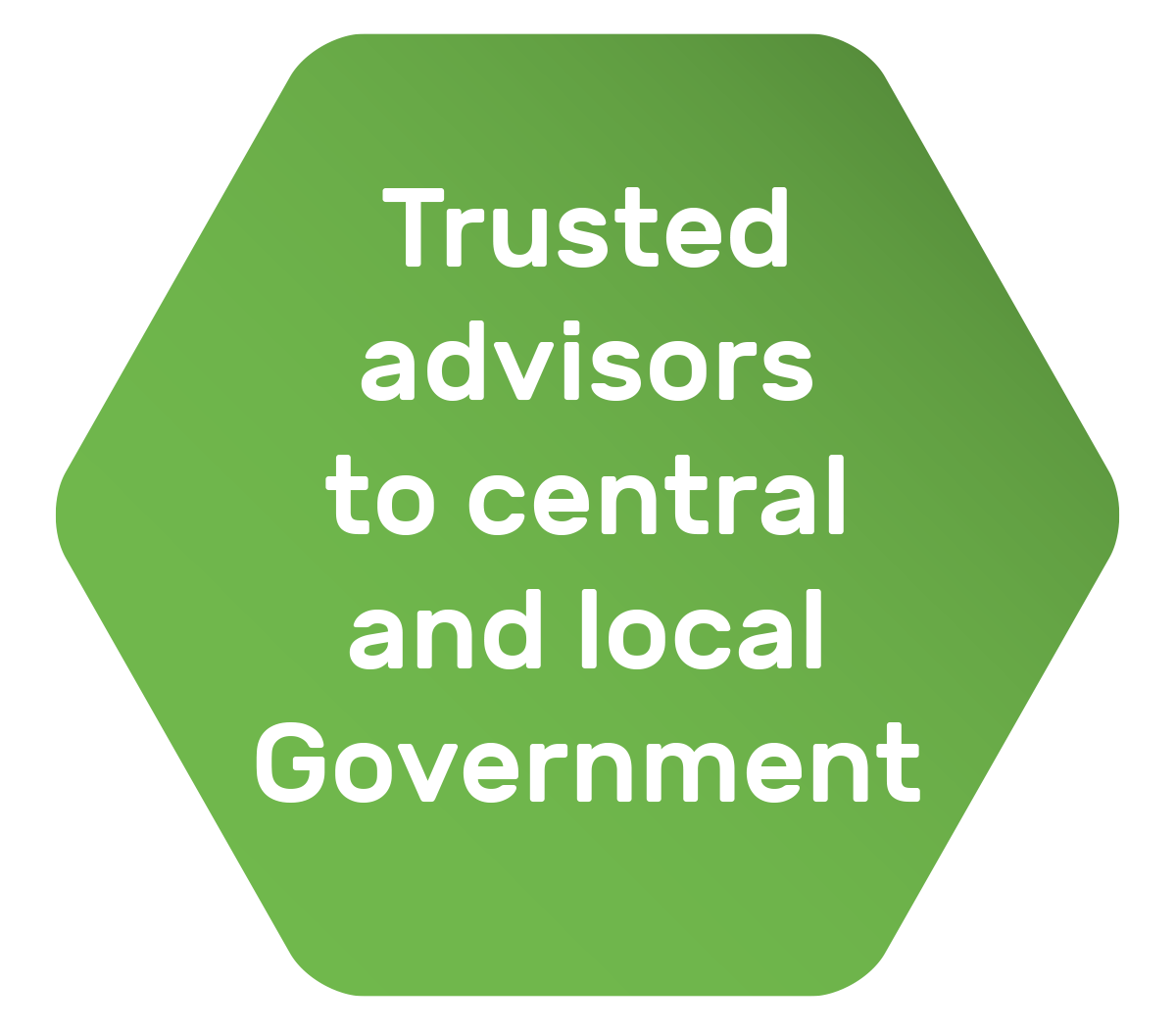 Trusted advisors to central and local Government